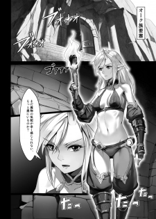 [Seikei Doujin (Yan)] Toubatsu Note Orc Leader Hen [Digital] - page 4