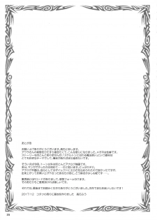 (C93) [Erotic Fantasy Larvaturs (Takaishi Fuu)] Shoko no Gaikotsu Heishi Chikubi ni Ireru Hone no Yubi - Another dimension skeleton fuck [Chinese] [不咕鸟汉化组] - page 23