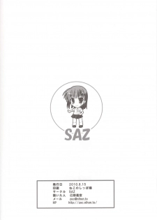 (C78) [SAZ (Onsoku Zekuu)] Toaru Railgun no Biribiri (Toaru Kagaku no Railgun) - page 31