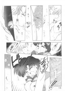 [BLACK DOG (Kuroinu Juu)] Star Platinum (Bishoujo Senshi Sailor Moon) - page 14