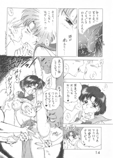 [BLACK DOG (Kuroinu Juu)] Star Platinum (Bishoujo Senshi Sailor Moon) - page 13