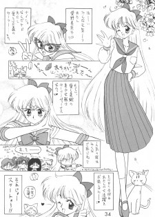 [BLACK DOG (Kuroinu Juu)] Star Platinum (Bishoujo Senshi Sailor Moon) - page 33