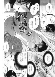 [Shou Akira] Seme Ane - page 21