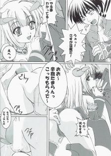 (C66) [Usakura (Koto)] Itsu made Tatte mo Mijissou + SC25 Paper (Ragnarok Online) - page 10