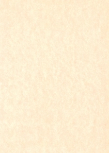 (C55) [Hinaya (Hinamin)] Hinateki Torte! (10 Carat Torte!) - page 30