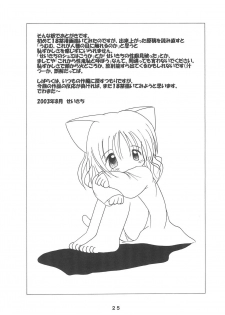(COMITIA65) [Puni Puni Donburi (Seikichi)] Yume no Owari - page 25
