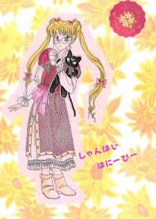 (SCC2) [Shanghai Honey Bee (Masuyama Kei)] Codename wa Sailor XX R (Sailor Moon) - page 24