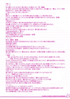 [Lillian] Twinkle☆Crusaders Kurukuru Most Secret Booklet (2008winter) [Kannagi rei･Hakozaki akira] - page 5