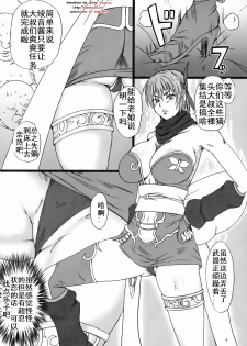 (C77) [Dashigara 100% (Minpei Ichigo)] Ayane Gaiden (Dead or Alive) [Chinese] [鹦鹉个人汉化] - page 3