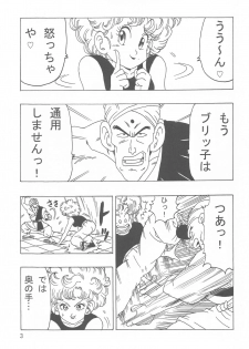 [Monkees (YoungJiJii)] Ranfan LOVE (Dragon Ball) - page 4