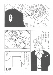 [Monkees (YoungJiJii)] Ranfan LOVE (Dragon Ball) - page 24