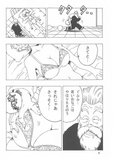 [Monkees (YoungJiJii)] Ranfan LOVE (Dragon Ball) - page 9