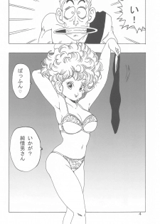 [Monkees (YoungJiJii)] Ranfan LOVE (Dragon Ball) - page 5