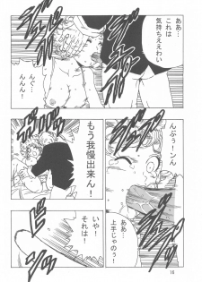 [Monkees (YoungJiJii)] Ranfan LOVE (Dragon Ball) - page 17