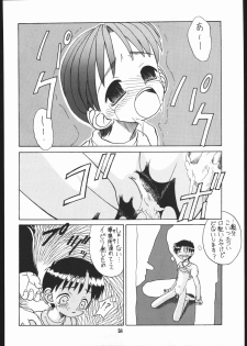 (C49) [Ryokan Hanamura (Various)] Ryokan Hanamura Benisuzaku no Ma (Neon Genesis Evangelion, Kaitou Saint Tail) [Incomplete] - page 33
