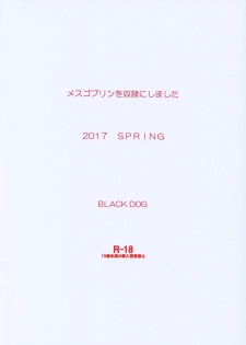 [BLACK DOG (Kuroinu Juu)] Mesu Goblin o Dorei ni Shimashita [Chinese] [小俠個人漢化] [2017-05-20] - page 30