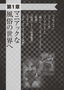 アブノーマル風俗入門 ラブドール風俗から、1000万円の風俗嬢まで - page 11