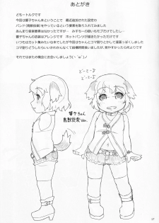 [Hadantorque (Torque)] Manner Mode (Touhou Project) - page 16