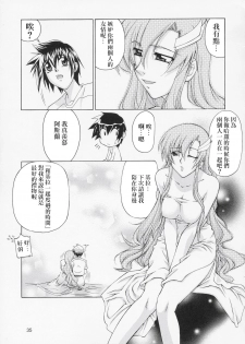 (C67) [Gold Rush (Suzuki Address)] Edition (Omote) (Gundam Seed) [Chinese] [风油精汉化组] - page 35