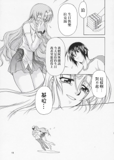 (C67) [Gold Rush (Suzuki Address)] Edition (Omote) (Gundam Seed) [Chinese] [风油精汉化组] - page 19