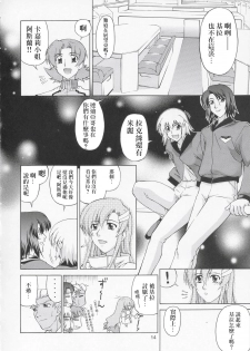 (C67) [Gold Rush (Suzuki Address)] Edition (Omote) (Gundam Seed) [Chinese] [风油精汉化组] - page 14