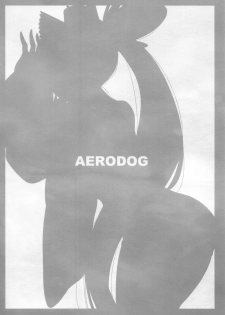 (C95) [AERODOG (inu)] Aiken Ushiwakamaru | Beloved Dog♥Ushiwakamaru (Fate/Grand Order) [English] [Behind the Ramen Shop TLs] - page 25