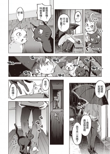 [Super Zombie] Oshikake Nyanko | 不请自来的小猫 (COMIC Kairakuten BEAST 2020-07) [Chinese] [暴碧汉化组] [Digital] - page 5