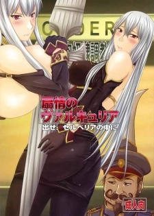 (COMIC1☆3) [Nozarashi (Nozarashi Satoru)] Senjou no Valkyria Dase, Selvaria no Naka ni (Valkyria Chronicles) [Chinese] [鹦鹉个人汉化]