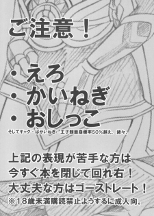 [Picricacid (Saiki Makiko)] LEAK! (Suikoden V) - page 2