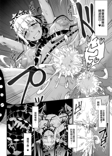 (C95) [Yojigen Kaidenpa (Shiden Hiro)] Ougon no Buta wa Tsuki ni Naku (Fate/Grand Order) [Chinese] [空中貓個人製作 & 不咕鸟汉化组] - page 17