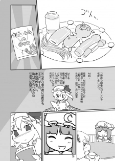 [Yashiya (YASSY)] Chotto Ecchi na Flan-chan Kahitsu Shuuseiban (2011) (Touhou Project) [Digital] - page 27