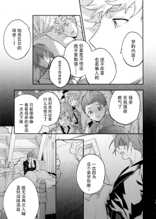 (Zenkuu no Chou Hasha 2019) [Shuukyuu Itsukasei (Touya Tsuduru)] in the bed (Granblue Fantasy) [Chinese] [WTM直接汉化] - page 13