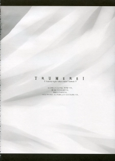 (CR36) [ARESTICA (Ariko Youichi)] Trumerei (Fate/stay night) - page 3