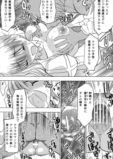 [Donzoko Kashiwa Meshi (Mask the J)] HIMESAMA TO (Shining Force) - page 38