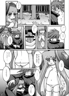 (C70) [Ekitou Koubou (Sawatari Reiji)] Seichou (Elemental Gelade) - page 10