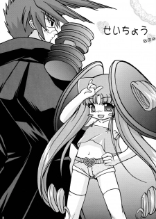 (C70) [Ekitou Koubou (Sawatari Reiji)] Seichou (Elemental Gelade) - page 2