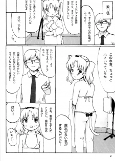 [Majo Minarai Gurentai (Hotaru)] Sex Daisuki Milia Nyan (Jewelpet Twinkle) - page 3