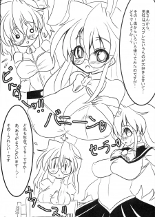 (Puniket 17) [Kaiteisinden (Rentaichou)] Lucky Tama (Lucky Star) - page 8