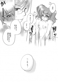 [Y.B.J (Ichitaro)] Carnation, Lily, Lily, Rose (Tales of the Abyss) - page 17