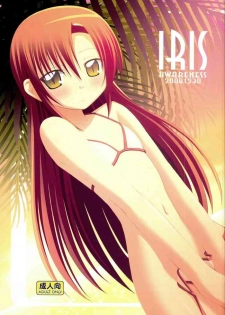 (C75) [Awareness (Aikawa Touma)] IRIS (Hayate no Gotoku!)