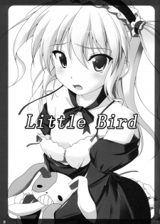 (C83) [Second Flight (Shiroyama Yoshiharu.)] Little Bird (Boku wa Tomodachi ga Sukunai) - page 2