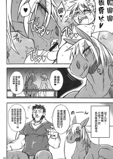 (Kemoket 6) [Mayoineko (Various)] MARE HOLIC 5 [Chinese] [新桥月白日语社] [Incomplete] - page 13