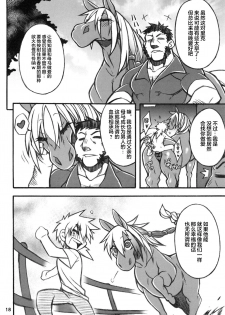 (Kemoket 6) [Mayoineko (Various)] MARE HOLIC 5 [Chinese] [新桥月白日语社] [Incomplete] - page 17