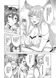 (C95) [Clover Kai (Emua)] Hihiiro Aventure |  緋緋色的戀愛冒險 (Granblue Fantasy) [Chinese] [甲爆神漢化組] - page 4