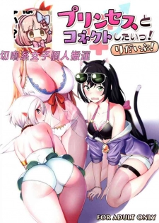 (C97) [Ikihaji Hummingbird (Amano Don)] Princess to Connect Shitai! ReDive! (Princess Connect! Re:Dive) [Chinese] [切嚕系女子個人搬運] [Decensored]