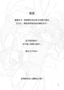 (C88) [Sorabatake (D@i)] TOHO GRAYZONE (Touhou Project) [Chinese] [瑞树汉化组] - page 3