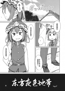 (C88) [Sorabatake (D@i)] TOHO GRAYZONE (Touhou Project) [Chinese] [瑞树汉化组] - page 4