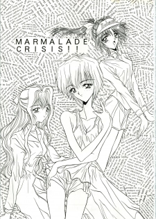 (C48) [Studio Unbalance (Dekamarasu Shirokko, Replicant, Takaya Shunichi)] MARMARADE CRSIS!! (Marmalade Boy) - page 3