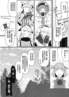 (C97) [Flying Bear (Hiyou)] Reverse Damage (Touhou Project) [Chinese] [17个人汉化] - page 5