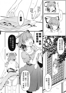 (C97) [Flying Bear (Hiyou)] Reverse Damage (Touhou Project) [Chinese] [17个人汉化] - page 25